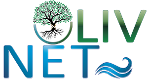 SAS OLIV' NET